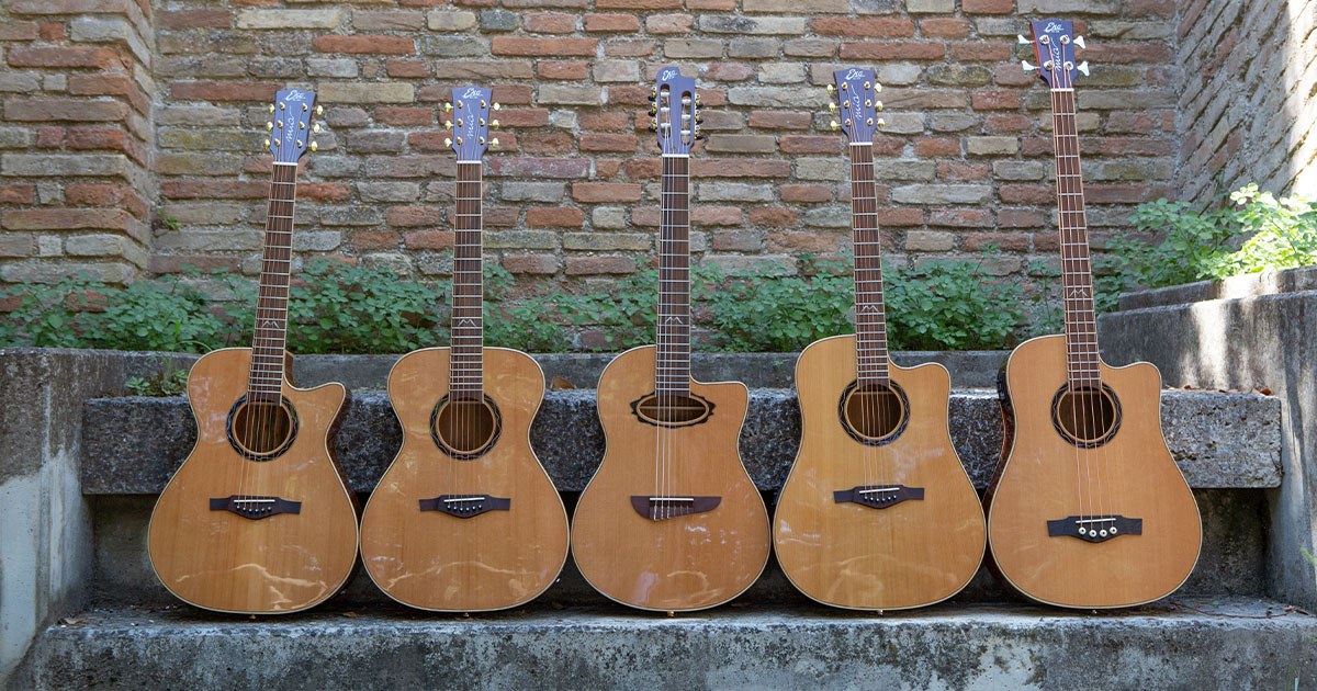 Acoustic Guitars by Series Acoustic Guitar