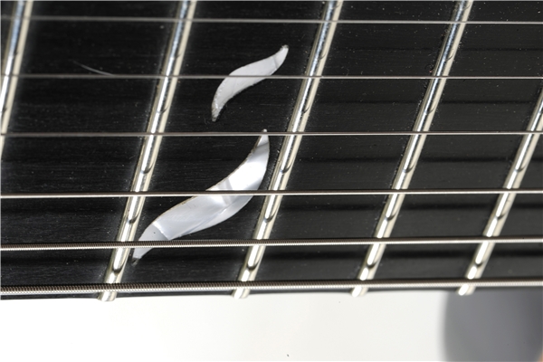 Eko Guitars - Aqua Masterbuilt