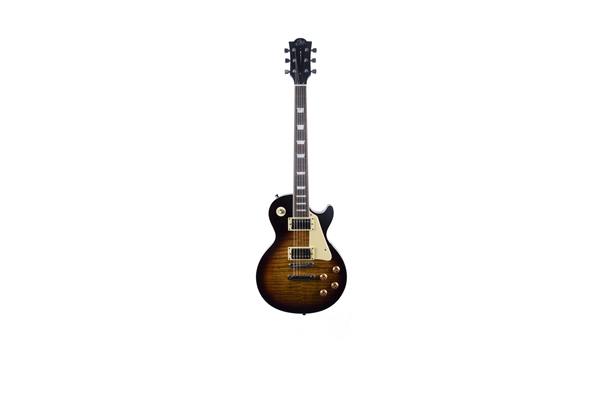 LS-300 Honey Burst