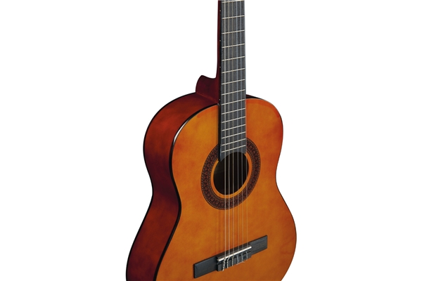 Eko Guitars - CS-5 Pack