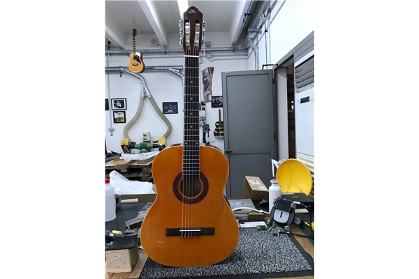 Eko Guitars - CS-10 Plus