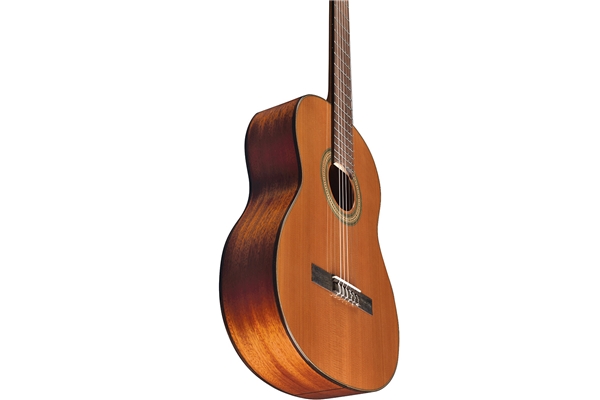 Eko Guitars - Vibra 300 Natural