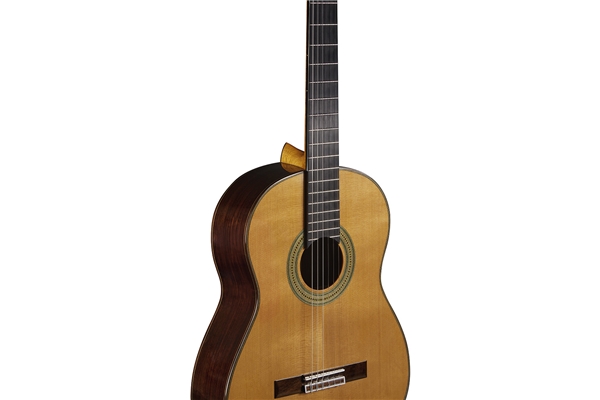 Eko Guitars - Vibra 500