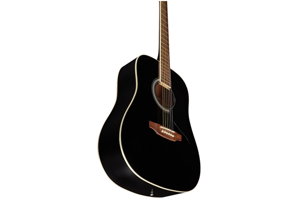 Eko Guitars - Ranger 6 Black