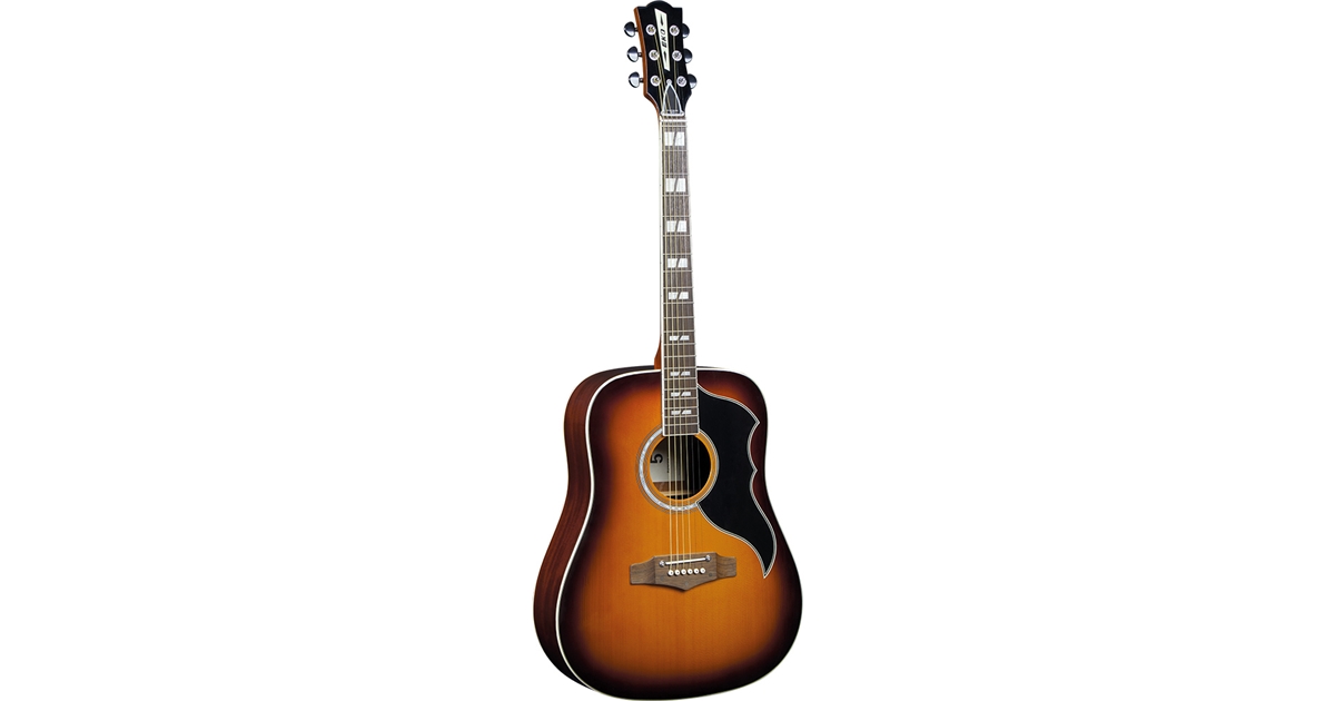 販売時間未使用品　EKO 5 RANGER SERIES　 アコースティックギター ギター