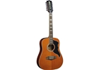 Eko Guitars - Eko Guitars Ranger XII VR Eq Natural Top Stained Acoustic  Guitar