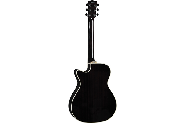 Eko Guitars - NXT A100ce See Through Black